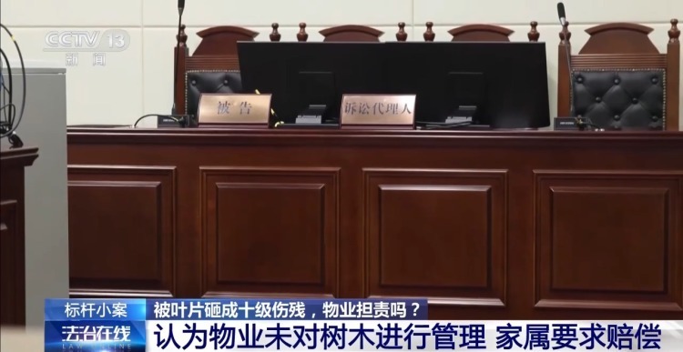 老人小区内遛弯被大王椰叶片砸成十级伤残 物业要担责吗？