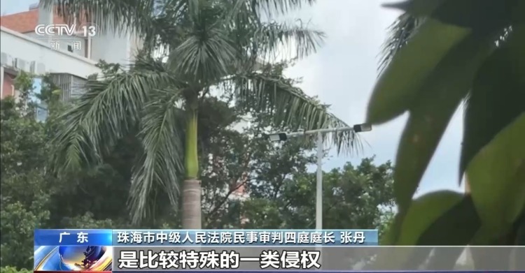 老人小区内遛弯被大王椰叶片砸成十级伤残 物业要担责吗？