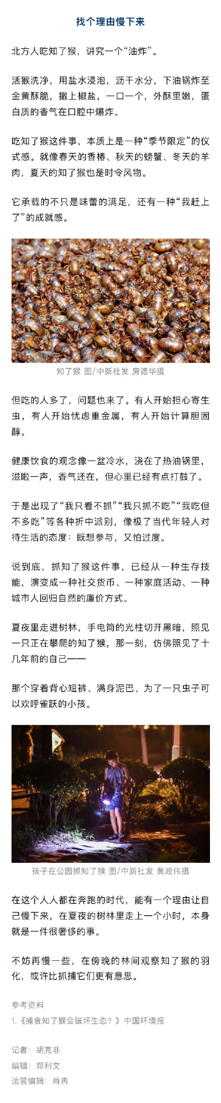 抓知了猴的人比知了猴都多