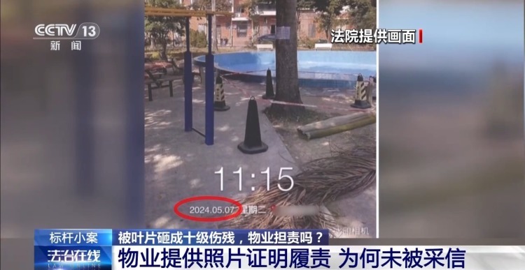 老人小区内遛弯被大王椰叶片砸成十级伤残 物业要担责吗？