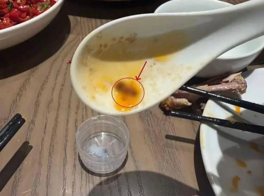 离谱！男子自带“活蟑螂”吃霸王餐碰瓷