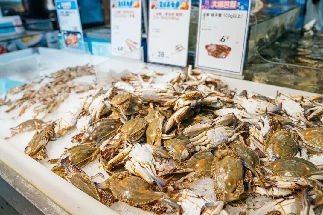 死了的梭子蟹可以吃吗?消费提示来了! 死了的梭子蟹可以吃吗?消费提示来了!