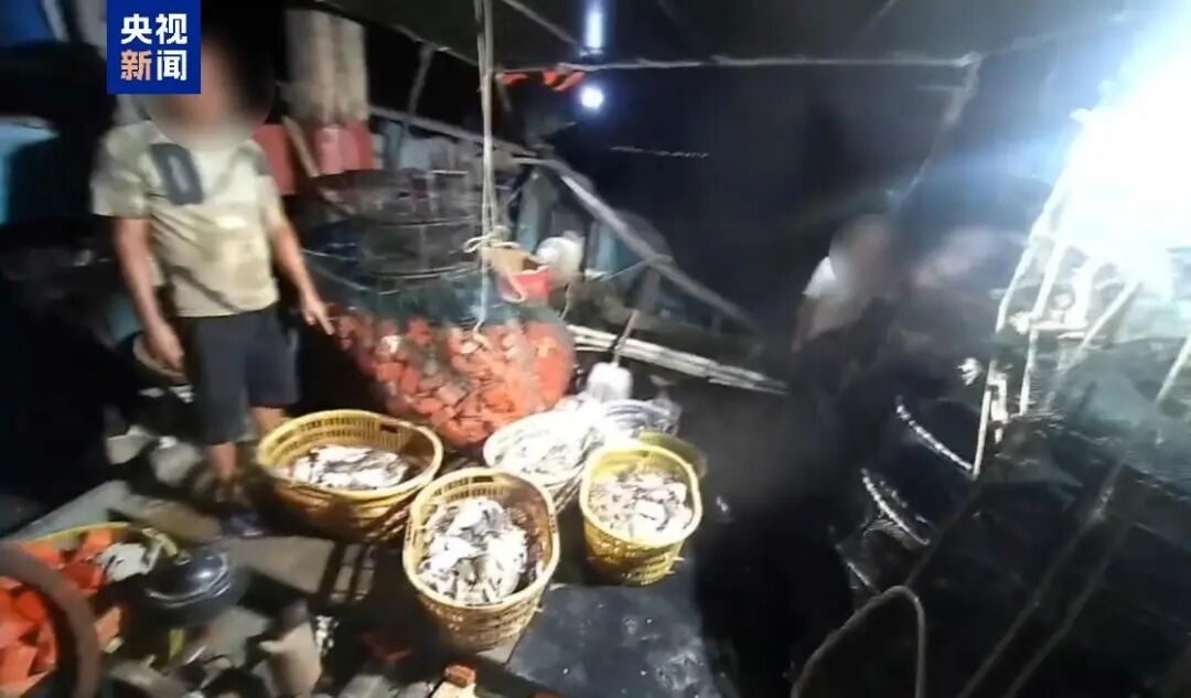 涉案金额约4000万元!广东海警局查获特大跨区域非法捕捞案 涉案金额约4000万元!广东海警局查获特大跨区域非法捕捞案