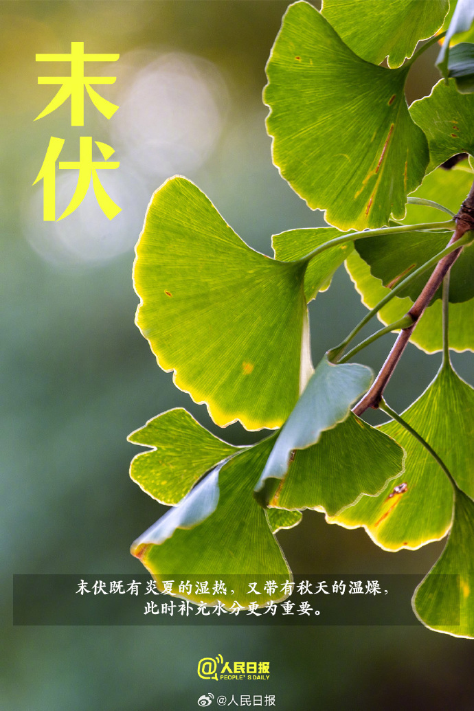 今日末伏,“加长版”三伏天正式进入尾声 今日末伏,“加长版”三伏天正式进入尾声