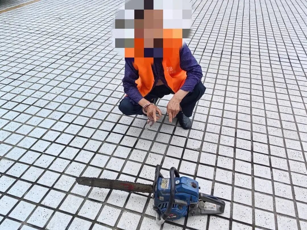 4人盗伐11棵行道树被刑拘,警方:他们自己报的警 4人盗伐11棵行道树被刑拘,警方:他们自己报的警