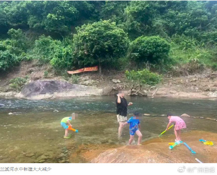 网红溯溪项目20多家营地无证经营,未按要求配备安全设施,官方最新回应:全部停业 网红溯溪项目20多家营地无证经营,未按要求配备安全设施,官方最新回应:全部停业