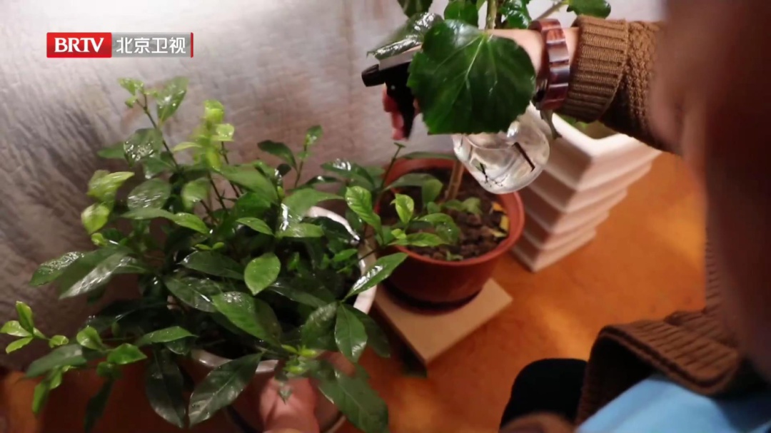 紧急提醒!卧室发现这5样东西,赶紧扔,接触久了易致癌,但很多人天天在用 紧急提醒!卧室发现这5样东西,赶紧扔,接触久了易致癌,但很多人天天在用