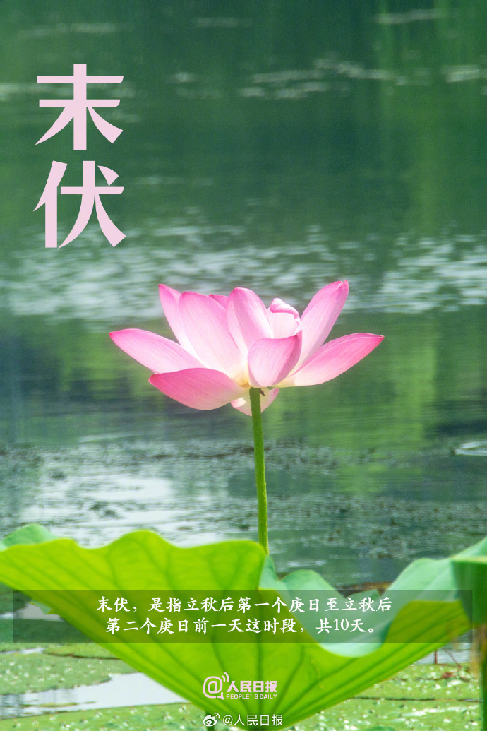 今日末伏,“加长版”三伏天正式进入尾声 今日末伏,“加长版”三伏天正式进入尾声
