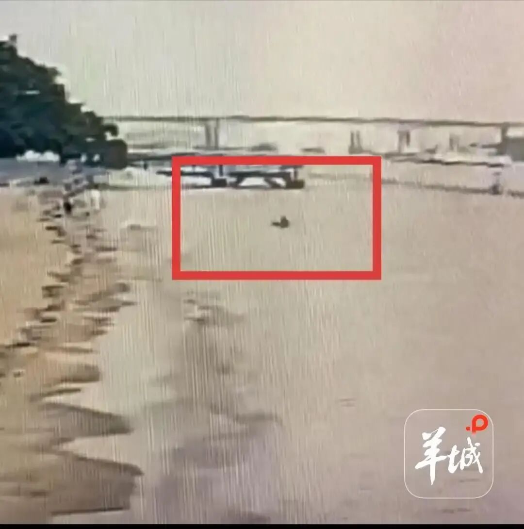 “心里只有救人一个念头！”广州南沙天后宫游客落海，保安蔡林“飞身”跳海救人