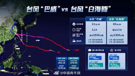 台风白海豚完整生命史超过15天