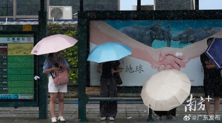 本周末广东迎强雷雨 本周末广东迎强雷雨
