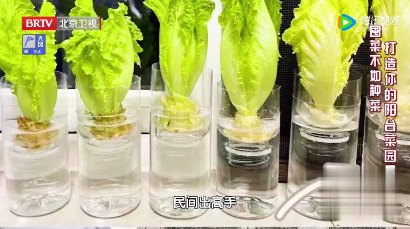 中老年这个爱好被嫌弃,却能帮着防癌、防慢病,别劝着改掉了 中老年这个爱好被嫌弃,却能帮着防癌、防慢病,别劝着改掉了