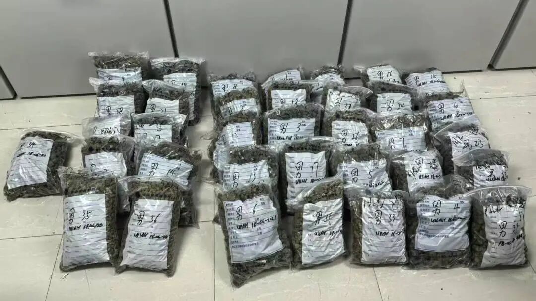 “借道”中国转运70公斤毒品,2名外籍过境人员获刑 “借道”中国转运70公斤毒品,2名外籍过境人员获刑