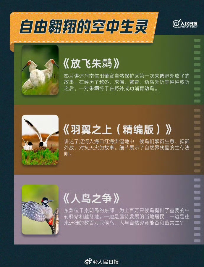 收藏!30部纪录片云游祖国好生态 收藏!30部纪录片云游祖国好生态