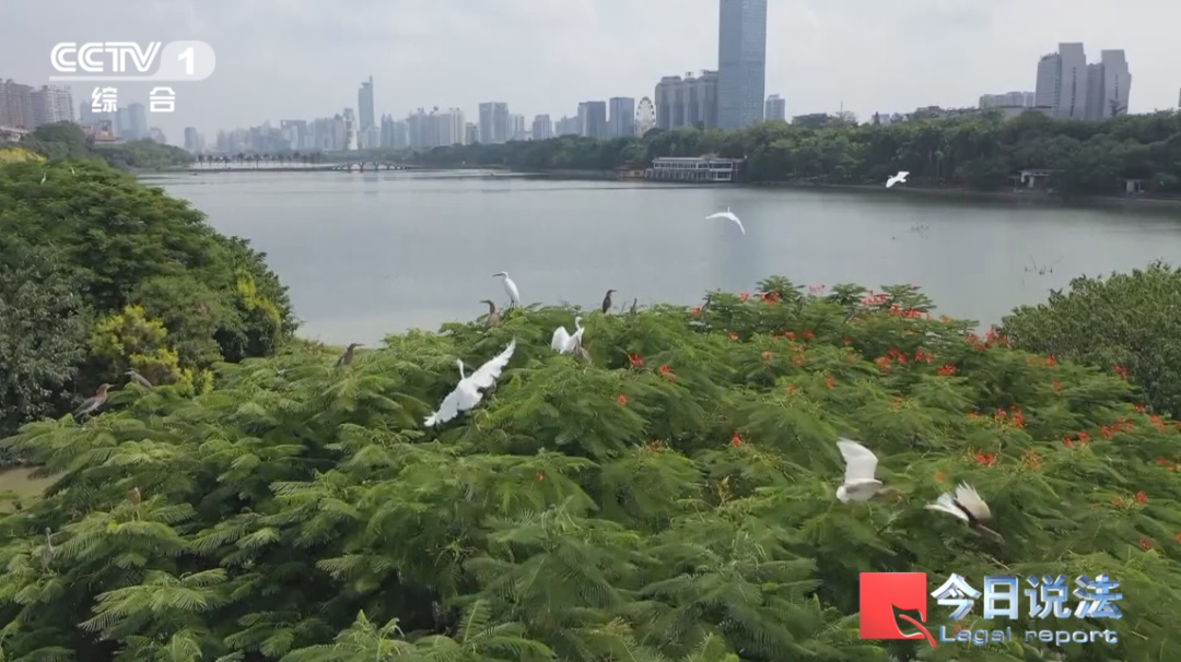 破坏生态的网红玩法行不通!《生态环境法典》施行,筑牢重要地理单元法治屏障 破坏生态的网红玩法行不通!《生态环境法典》施行,筑牢重要地理单元法治屏障