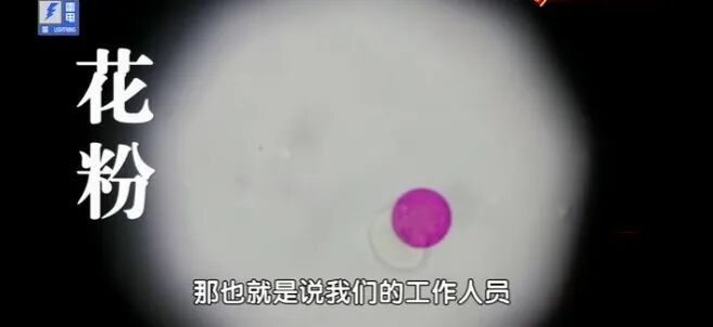 中老年这个爱好被嫌弃,却能帮着防癌、防慢病,别劝着改掉了 中老年这个爱好被嫌弃,却能帮着防癌、防慢病,别劝着改掉了