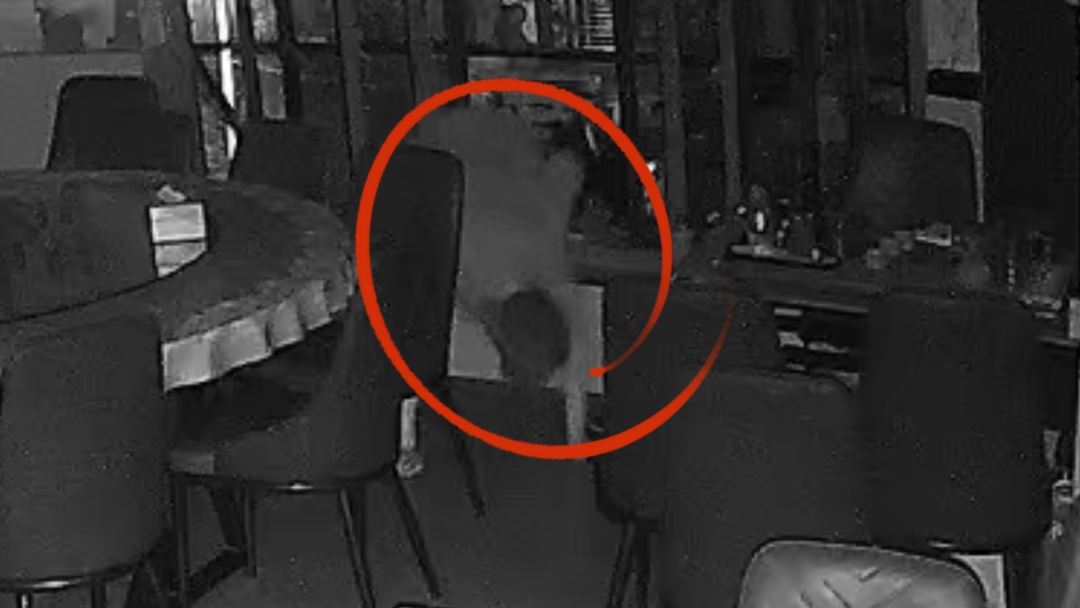 靠着应聘踩点、长途换装盗窃 狡猾盗贼套路频出依旧落网