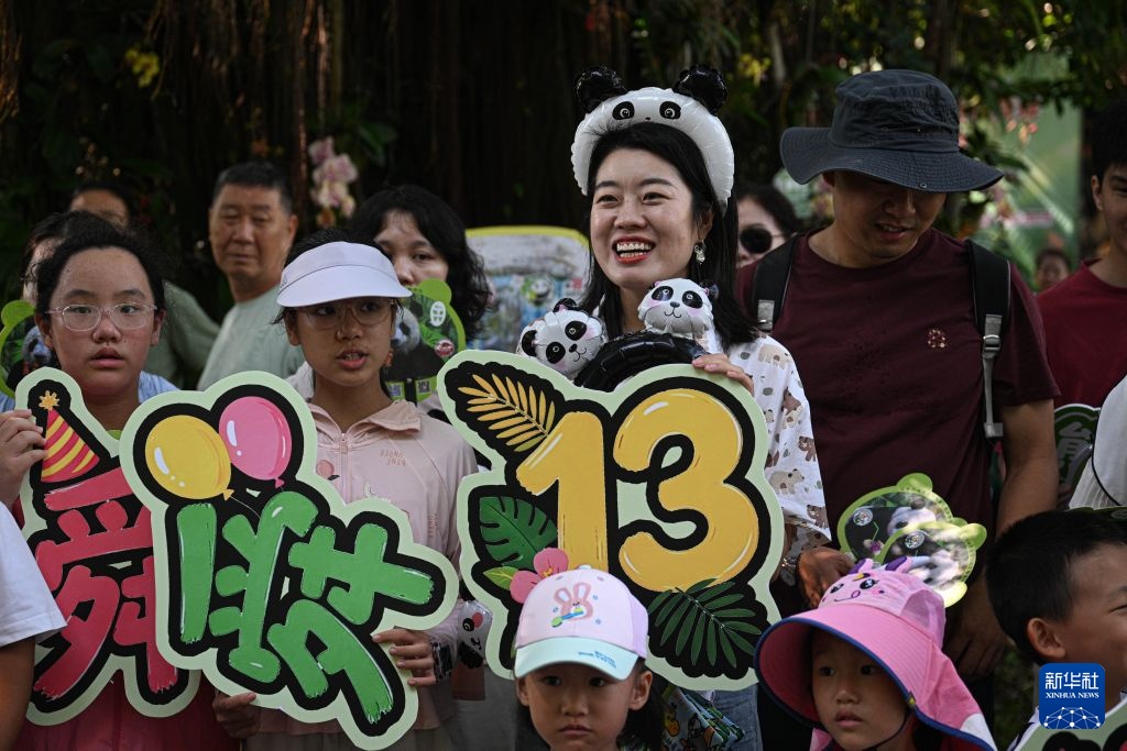 海口:大熊猫兄弟“贡贡”“舜舜”庆生 海口:大熊猫兄弟“贡贡”“舜舜”庆生