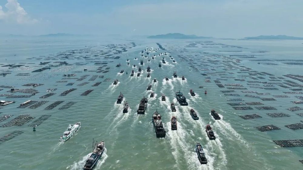 千帆竞发!海警全力护航“金秋第一网” 千帆竞发!海警全力护航“金秋第一网”