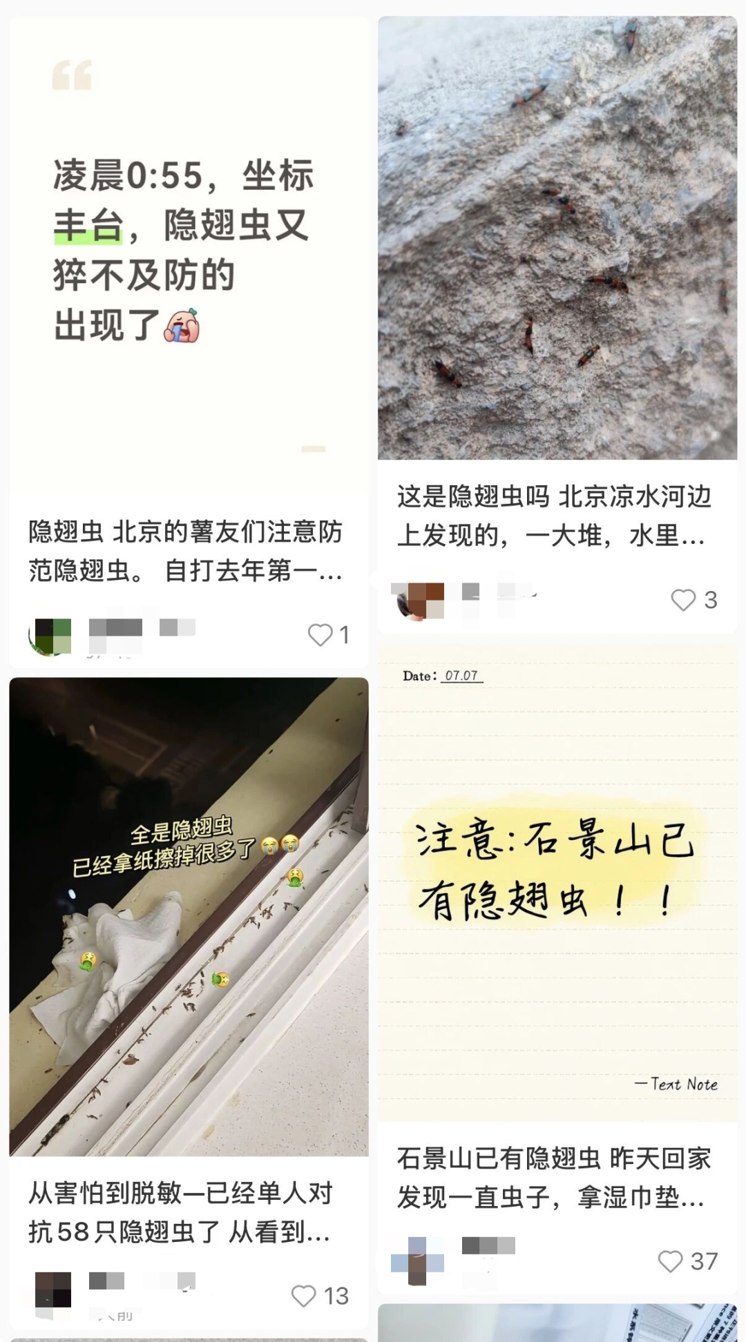 北京已有人中招!千万不能用手拍!毒液堪比硫酸,严重可毁容 北京已有人中招!千万不能用手拍!毒液堪比硫酸,严重可毁容