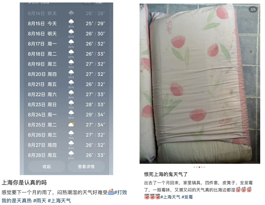 “又闷又潮,比黄梅天雨还多,都长蘑菇了”,上海的雨要持续到什么时候?转折来了! “又闷又潮,比黄梅天雨还多,都长蘑菇了”,上海的雨要持续到什么时候?转折来了!