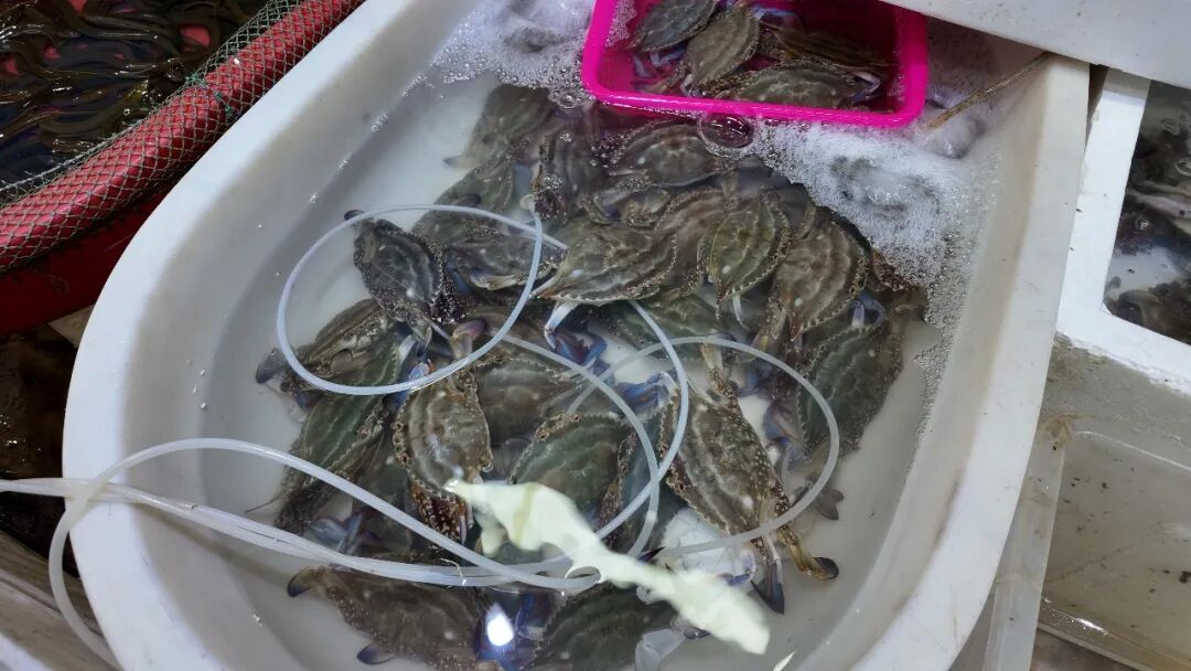 正大量上市!上海人喜欢的美食"性寒"?医生支招,这样放心吃 正大量上市!上海人喜欢的美食"性寒"?医生支招,这样放心吃