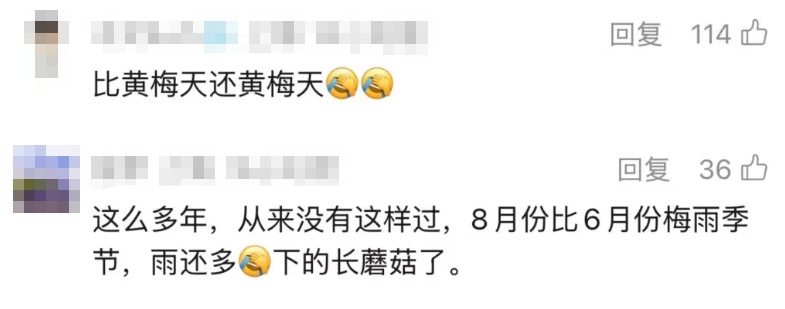 “又闷又潮,比黄梅天雨还多,都长蘑菇了”,上海的雨要持续到什么时候?转折来了! “又闷又潮,比黄梅天雨还多,都长蘑菇了”,上海的雨要持续到什么时候?转折来了!