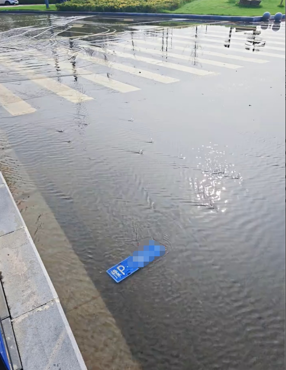 车牌被水冲掉怎么办?周口交警:可线上线下补领 车牌被水冲掉怎么办?周口交警:可线上线下补领