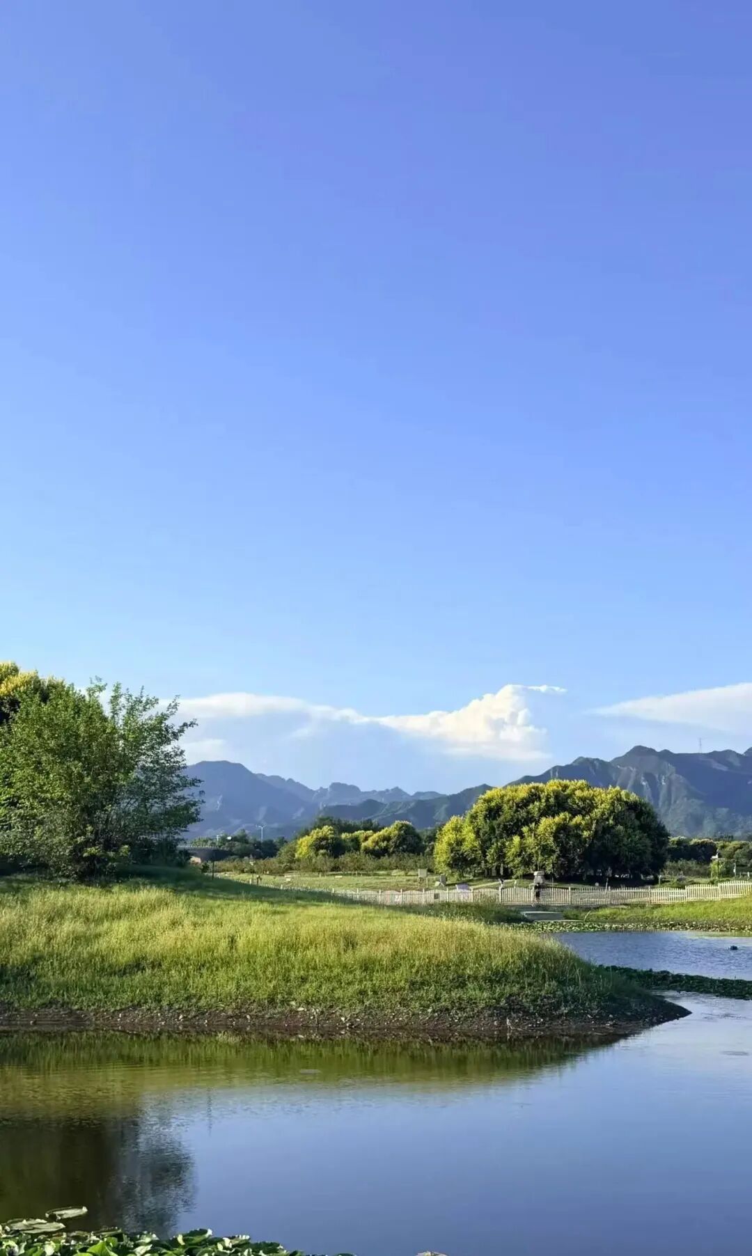 今天，被北京的蓝天狠狠治愈了——