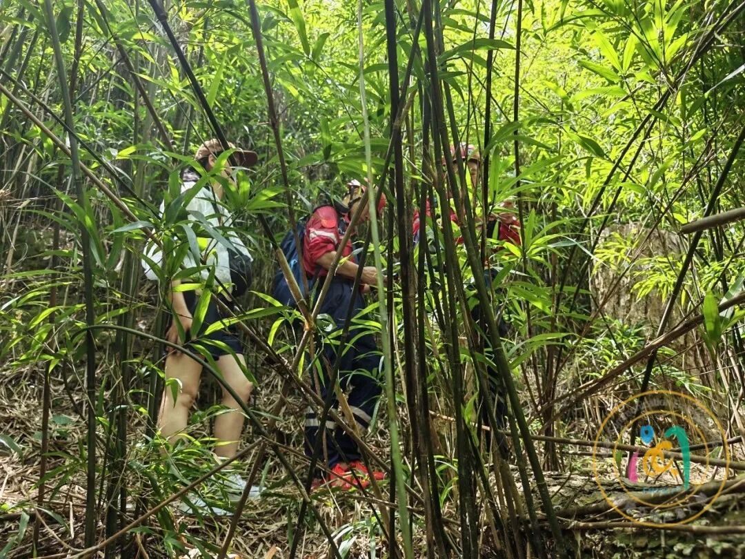 女子单人徒步,在福州鼓山一带误入密林被困,救援队冒高温快速营救 女子单人徒步,在福州鼓山一带误入密林被困,救援队冒高温快速营救