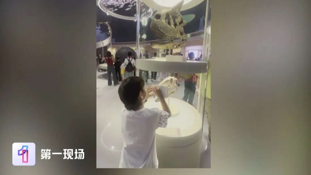 深圳7岁小孩哥逛自然博物馆，一眼指出两处错误，官方连夜调整