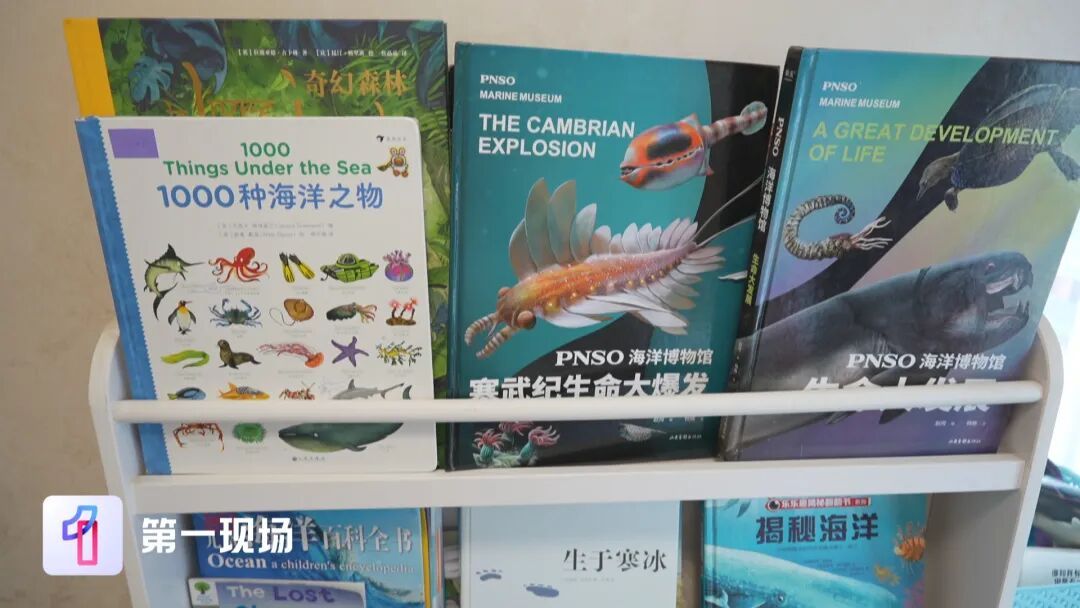 深圳7岁小孩哥逛自然博物馆，一眼指出两处错误，官方连夜调整