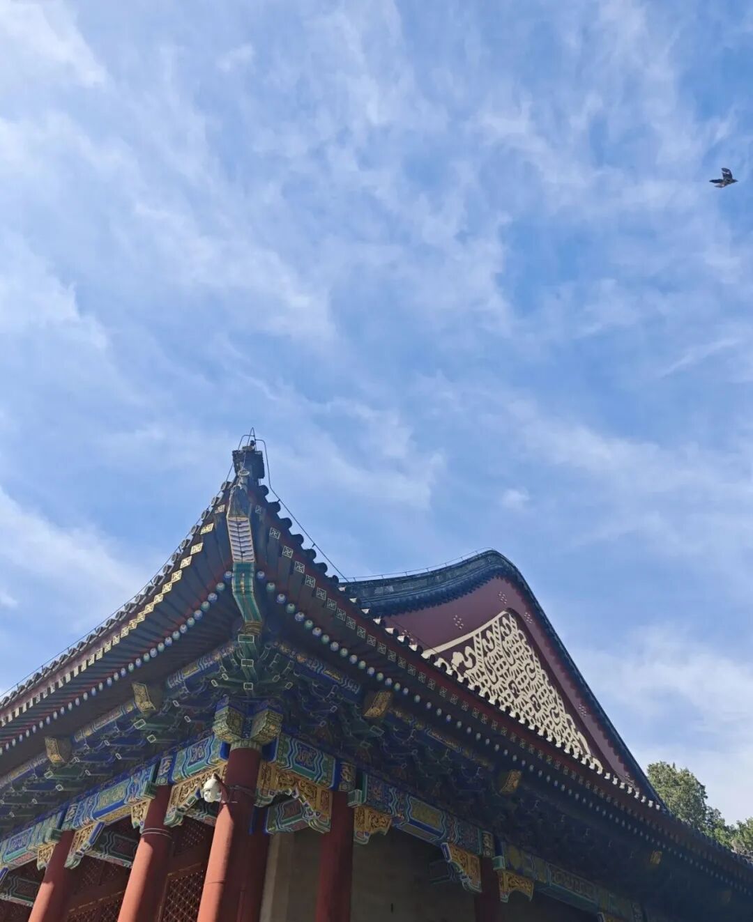 今天，被北京的蓝天狠狠治愈了——