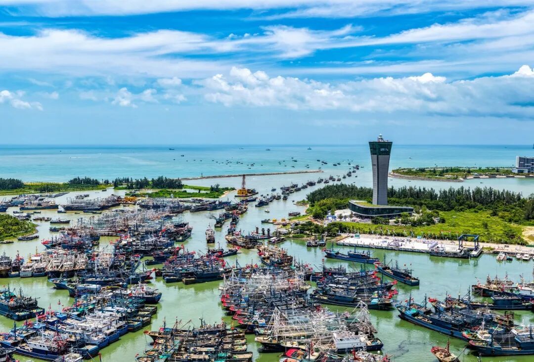 开渔了！海南多地渔港千帆竞发，现场直击→