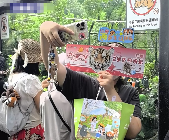 生日大餐都不看，直奔小黄鸭，上海动物园“团宠”两岁啦！