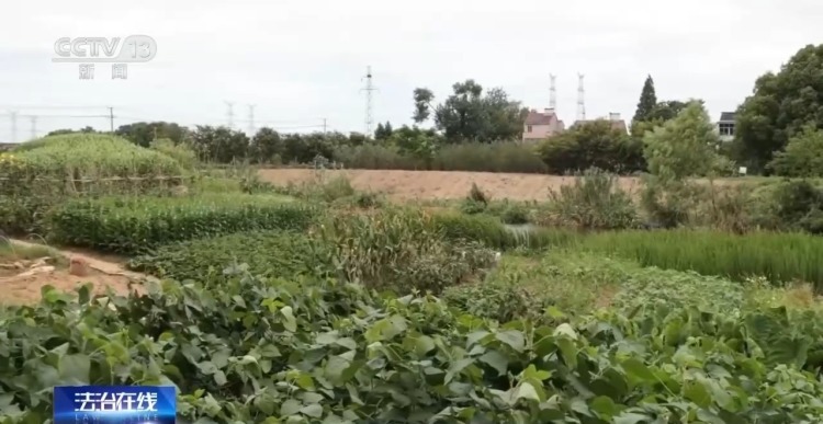 法治在线丨“所长,有人送来个大冰箱” 一场警与民的双向奔赴 法治在线丨“所长,有人送来个大冰箱” 一场警与民的双向奔赴