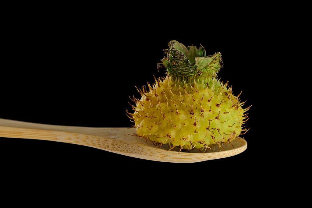 它是水果界的“维C天花板” 含量是橙子的78倍