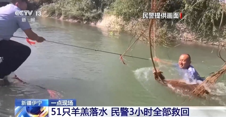 51只羊羔被水流冲走 民警下水拦截3小时全部救回 51只羊羔被水流冲走 民警下水拦截3小时全部救回