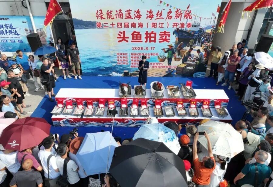 广东男子花3.8万元拍下38斤巨型“鱼王”!南海开渔第一鲜上岸,一大批海鲜按筐买 广东男子花3.8万元拍下38斤巨型“鱼王”!南海开渔第一鲜上岸,一大批海鲜按筐买