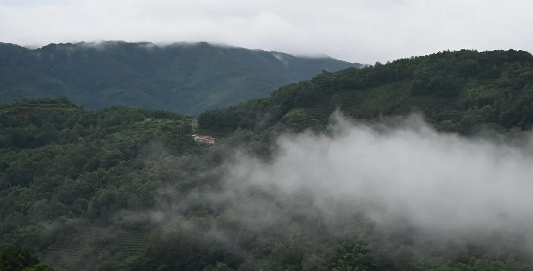 新一轮强降雨来袭!云南这些地方有暴雨、大暴雨 新一轮强降雨来袭!云南这些地方有暴雨、大暴雨