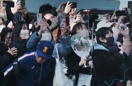 日媒:东京上野动物园拆除大熊猫馆,众多民众前往告别 日媒:东京上野动物园拆除大熊猫馆,众多民众前往告别