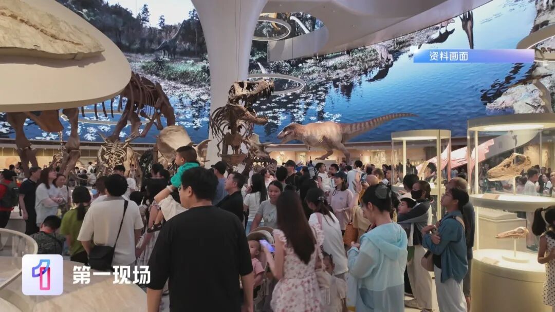 深圳7岁小孩哥逛自然博物馆，一眼指出两处错误，官方连夜调整