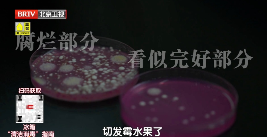 家里头号“细菌窝”不在厕所，而在这，67岁老人因此丧命，3招教您正确清洁