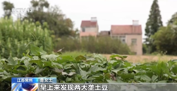 法治在线丨“所长,有人送来个大冰箱” 一场警与民的双向奔赴 法治在线丨“所长,有人送来个大冰箱” 一场警与民的双向奔赴