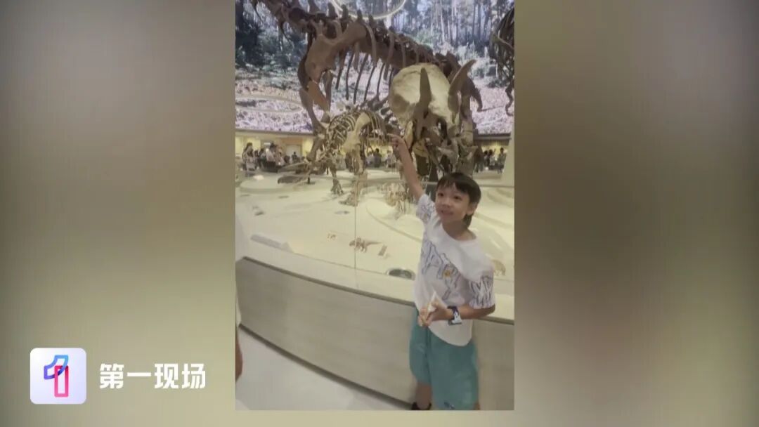 深圳7岁小孩哥逛自然博物馆，一眼指出两处错误，官方连夜调整
