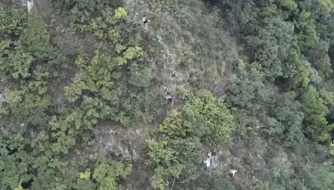 别拿安全赌风景:36人擅闯未开发山林迷路,连夜搜救全员平安 别拿安全赌风景:36人擅闯未开发山林迷路,连夜搜救全员平安