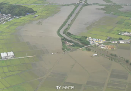 日本千叶县强降雨已致11死
