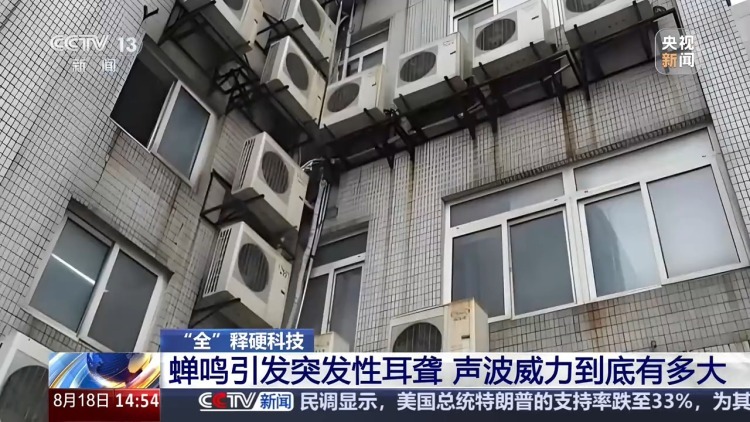 蝉鸣引发突发性耳聋 声波威力到底有多大? 蝉鸣引发突发性耳聋 声波威力到底有多大?