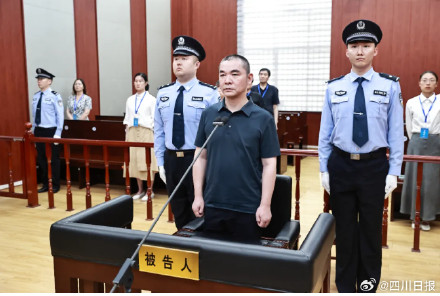 攀枝花市政府原党组成员、副市长龙勇受贿案一审宣判