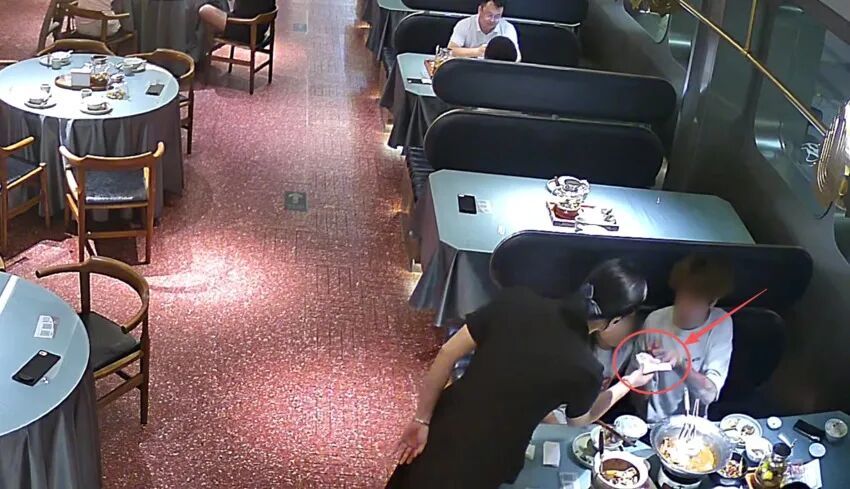 “服务员,你们菜里怎么有这个?”男子自带活蟑螂想吃“霸王餐” “服务员,你们菜里怎么有这个?”男子自带活蟑螂想吃“霸王餐”